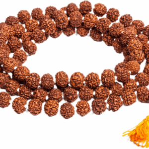 Satguru Rudraksha japamala 108 Beads rudraksha rosary