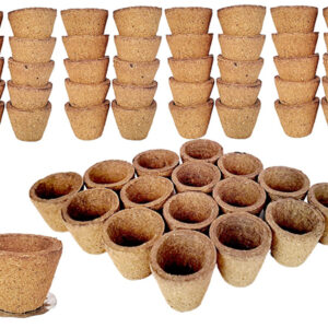 Lavish Empty Organic Havan / Sambrani Dhoop/ Cow Panchgavya Dhuni Cups for Prayer/ Pooja - Pack of 100 Pcs